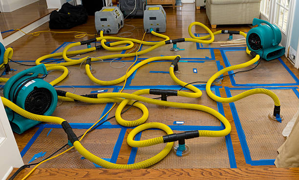 Professional Crawl Space Water Removal technician working in Hillsville, VA